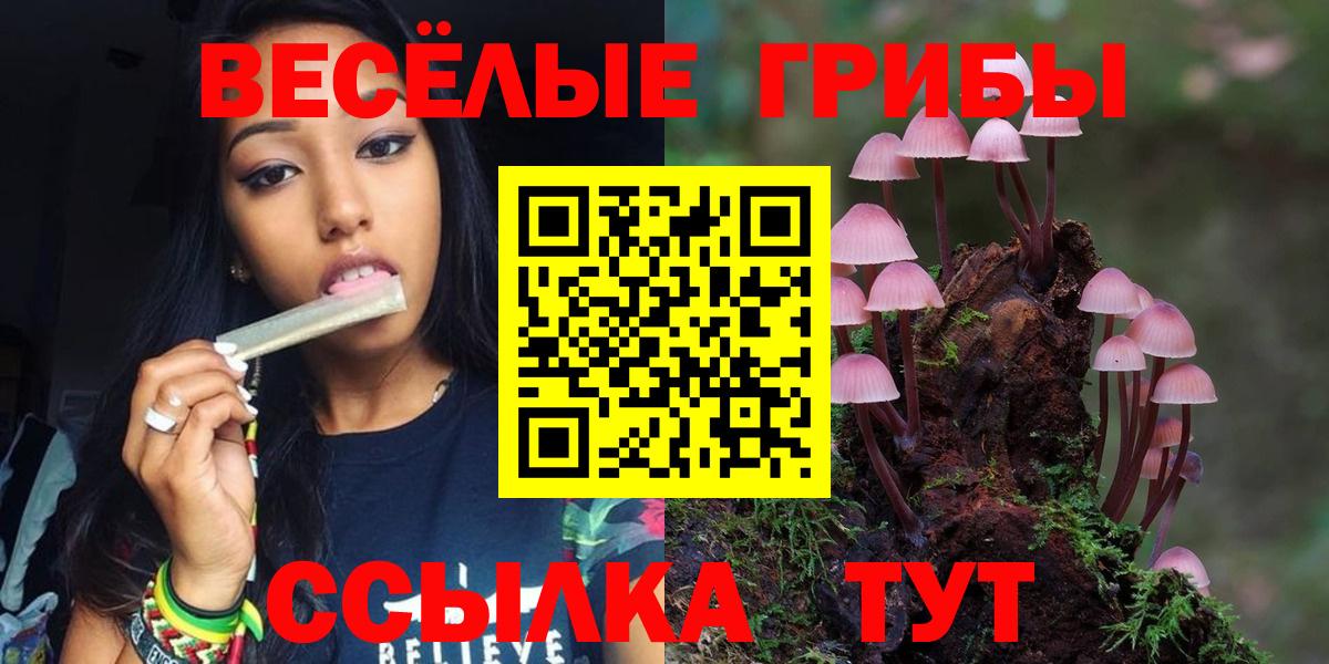 Псилоцибиновые грибы GOLDEN TEACHER  где найти наркотики  Елизово  Вход с VPN 